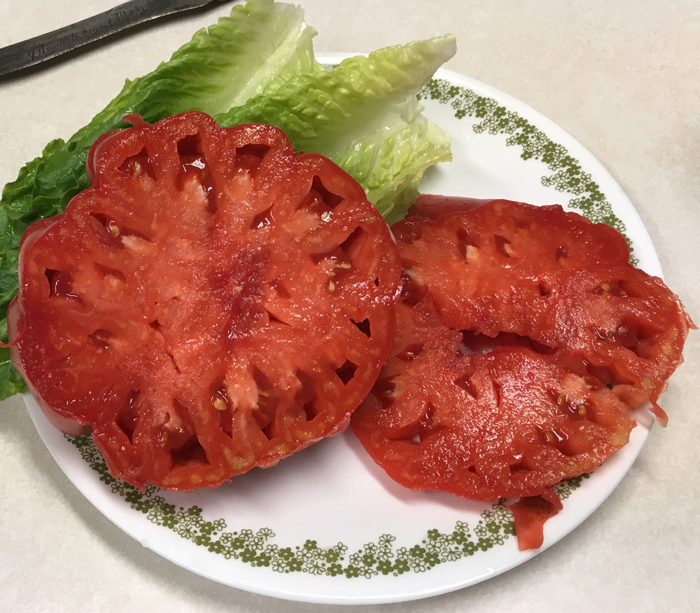 tomato④ Kozula 36 x Big Zebra typ 2