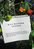 Mad Hatter Pepper- 4" pot