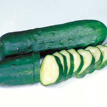 Marketmore Select Cucumbers-4" pot