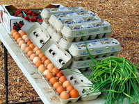 Organic, free range, farm fresh eggs