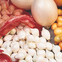 Onion sets - per pound