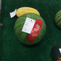 Watermelon small